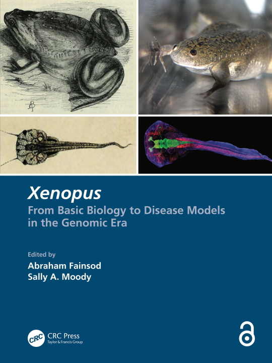 Knjiga Xenopus Abraham Fainsod