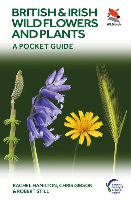 Kniha British and Irish Wild Flowers and Plants Rachel Hamilton