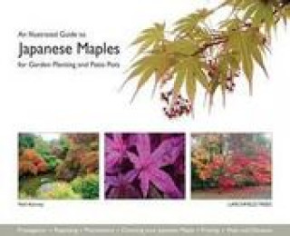 Carte Illustrated Guide to Japanese Maples for Garden Planting and Patio Pots Neil Kenney