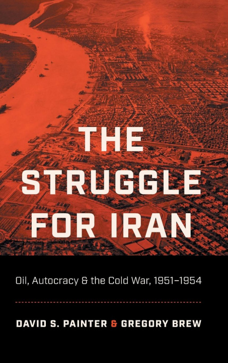 Knjiga Struggle for Iran David S. Painter