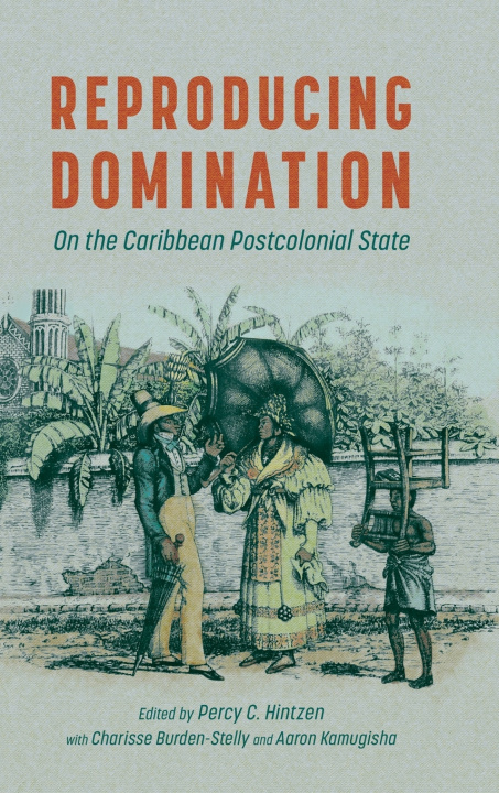 Buch Reproducing Domination Percy C. Hintzen