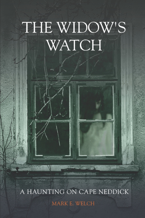 Knjiga Widows Watch Mark E Welch