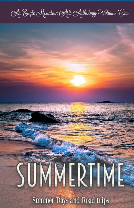 Knjiga Summertime Tiffany Chandler