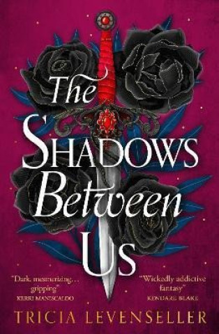 Könyv Shadows Between Us Tricia Levenseller