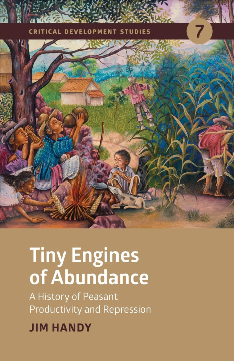 Buch Tiny Engines of Abundance James Handy
