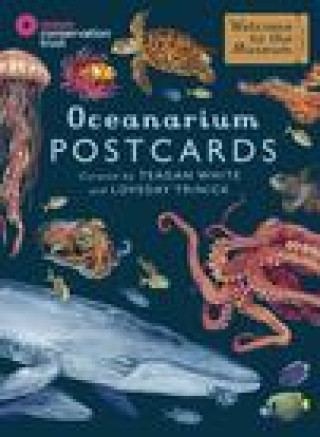 Printed items Oceanarium Postcards Loveday Trinick