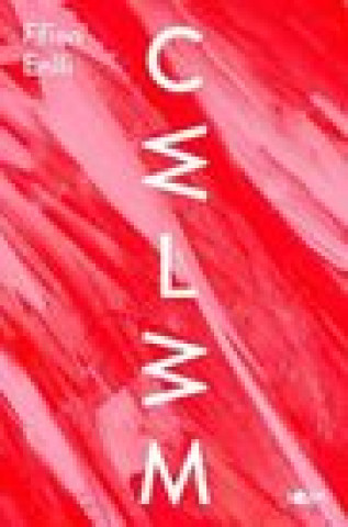 Book Cwlwm Ffion Enlli