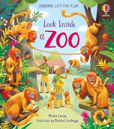 Könyv Look Inside a Zoo Minna Lacey