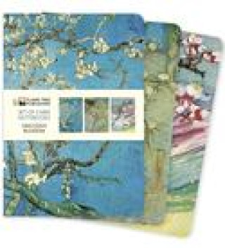 Naptár/Határidőnapló Vincent van Gogh: Blossom Set of 3 Midi Notebooks 
