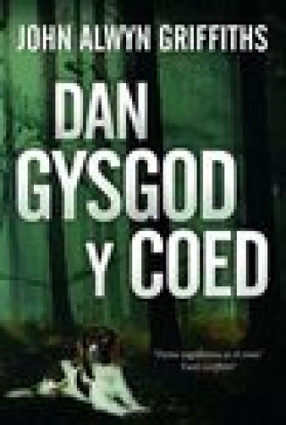 Könyv Dan Gysgod y Coed John Alwyn Griffiths