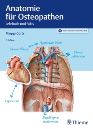 Kniha Anatomie für Osteopathen 