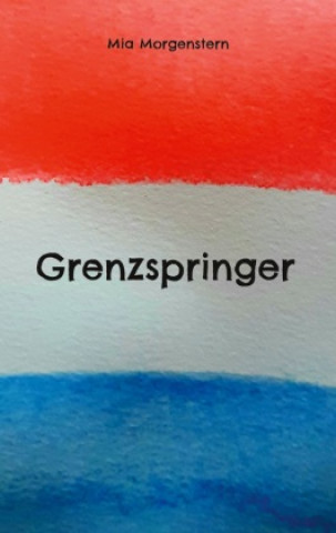 Knjiga Grenzspringer Mia Morgenstern