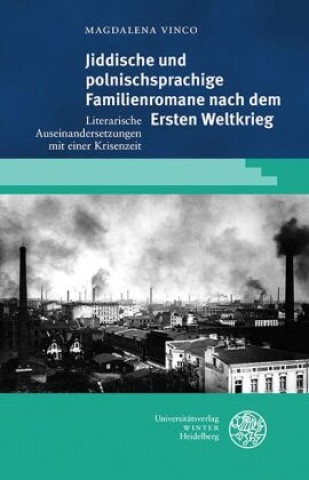 Kniha Jiddische und polnischsprachige Familienromane nach dem Ersten Weltkrieg 