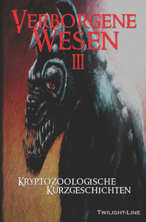Boek Verborgene Wesen 3 Susanne Haberland