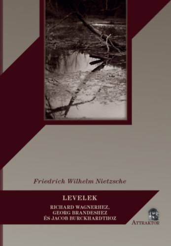 Książka Levelek Friedrich Nietzsche