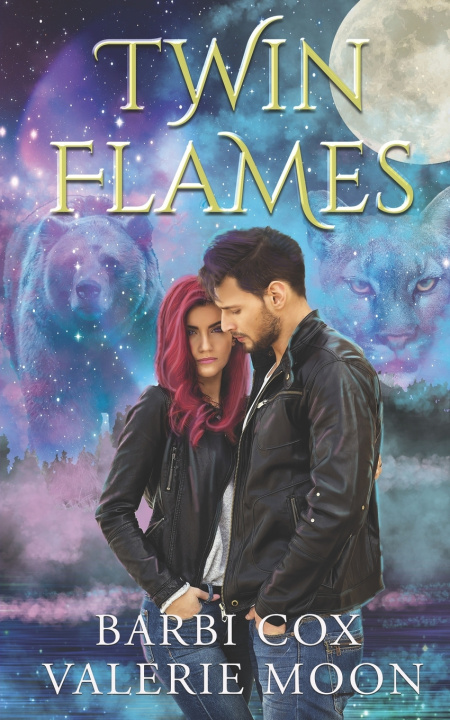 Knjiga Twin Flames Barbi Cox