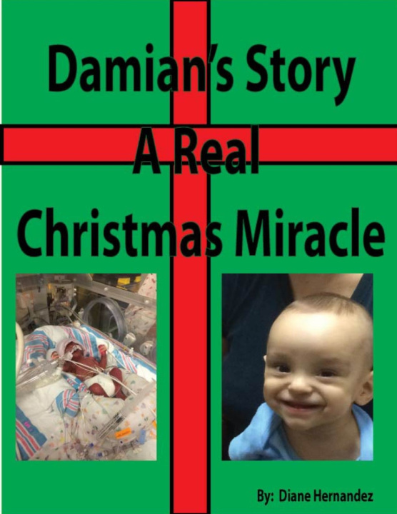 Knjiga Real Christmas Story-Damian's Miracle Diane Hernandez
