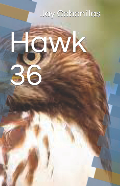 Knjiga Hawk 36 Jay Cabanillas