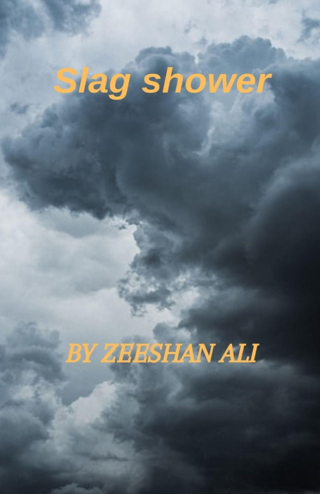 Knjiga Slag shower Zeeshan Ali
