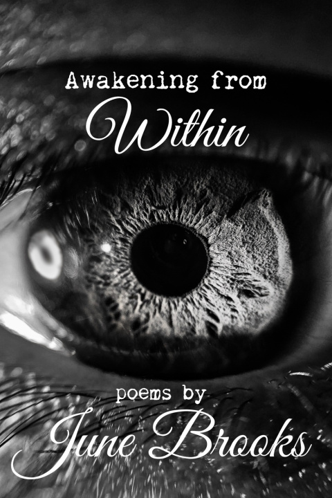 Knjiga Awakening from Within June Brooks