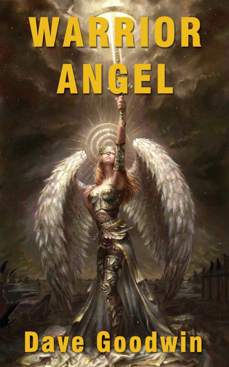 Boek Warrior Angel Dave Goodwin