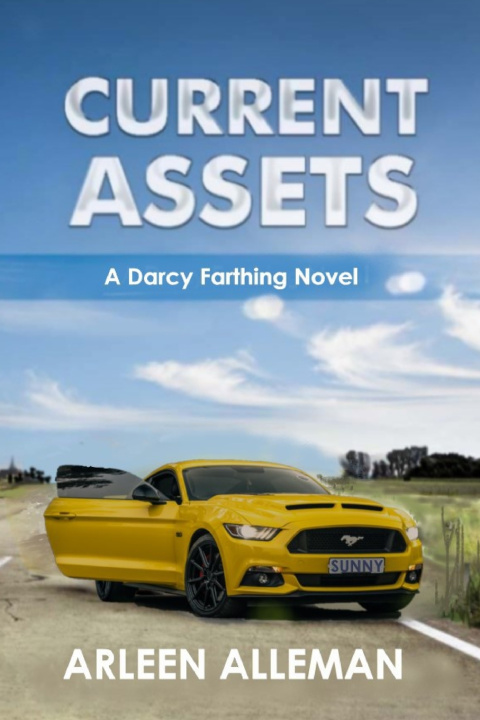 Livro Current Assets Arleen Alleman