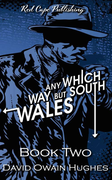 Kniha Any Which Way but South Wales David Owain Hughes