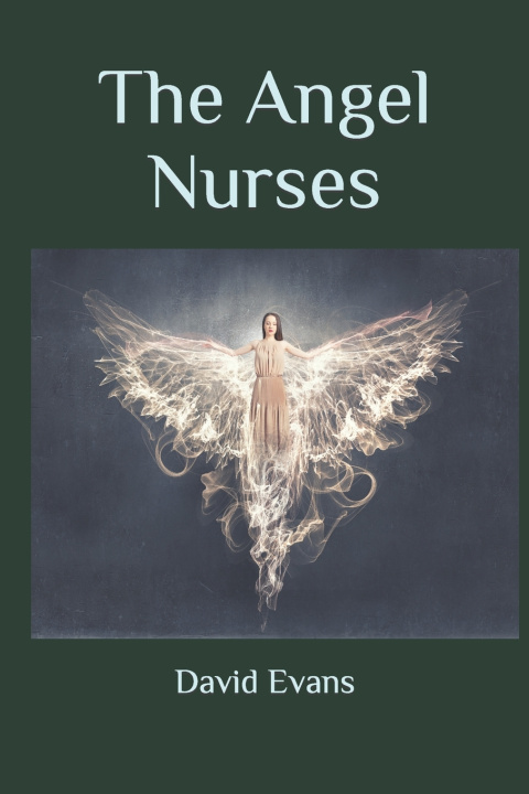 Knjiga Angel Nurses David G Evans