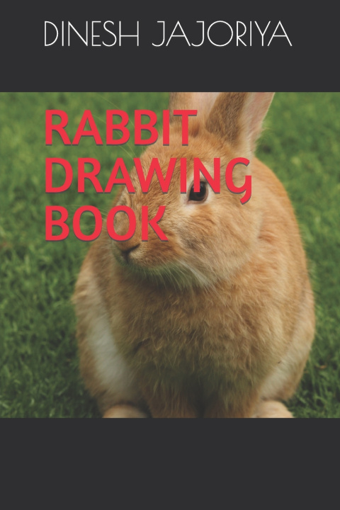 Knjiga Rabbit Drawing Book Dinesh Kumar Jajoriya