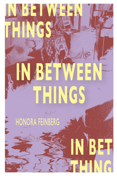 Knjiga In-Between Things Honora S Feinberg