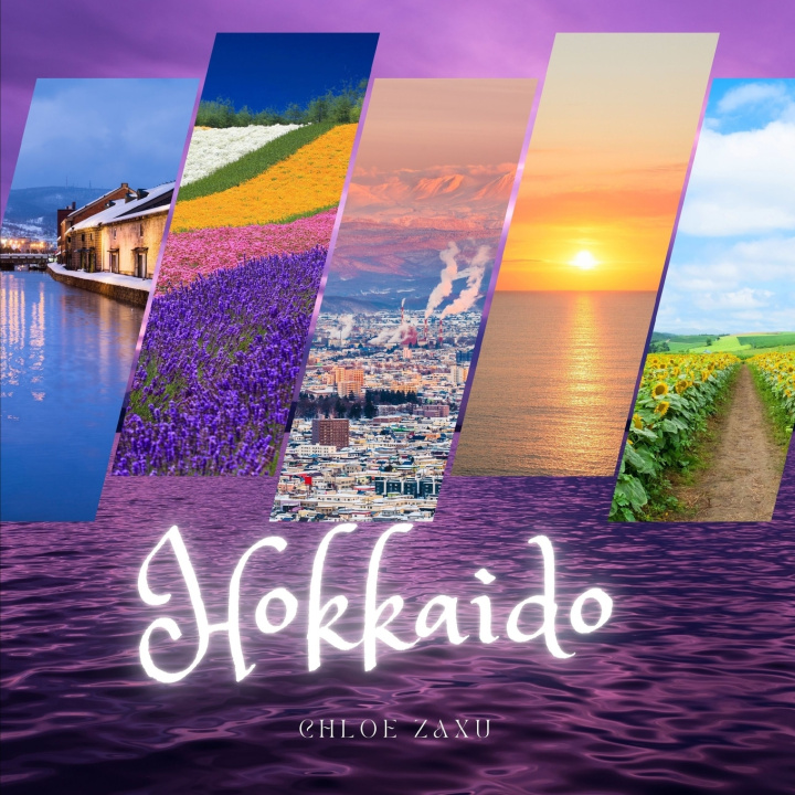 Knjiga Hokkaido Chloe Zaxu