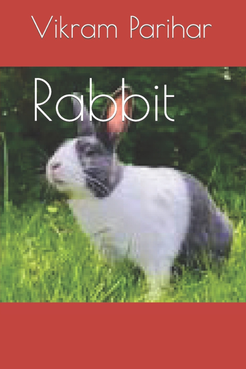 Knjiga Rabbit Vikram Viku Parihar