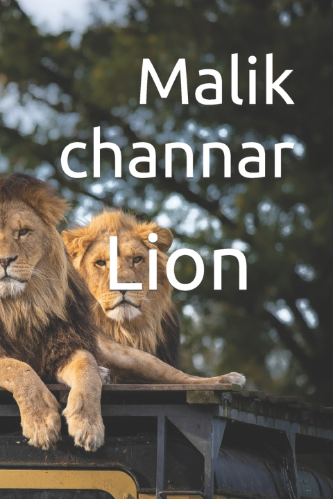 Knjiga Lion Malik Waheed Channar