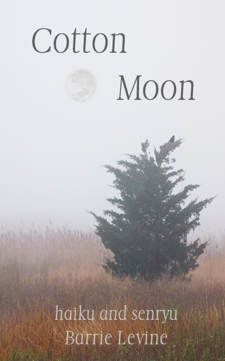 Knjiga Cotton Moon Barrie Levine