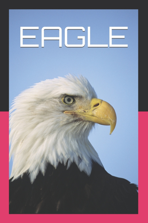 Buch Eagle Anshuman Tripathi