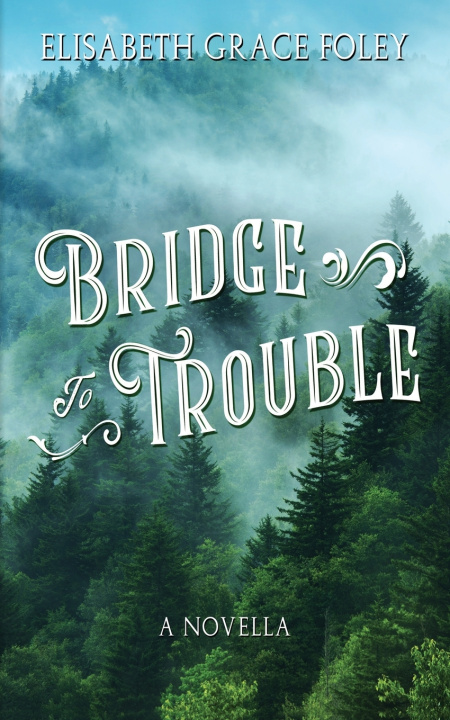 Knjiga Bridge to Trouble Elisabeth Grace Foley