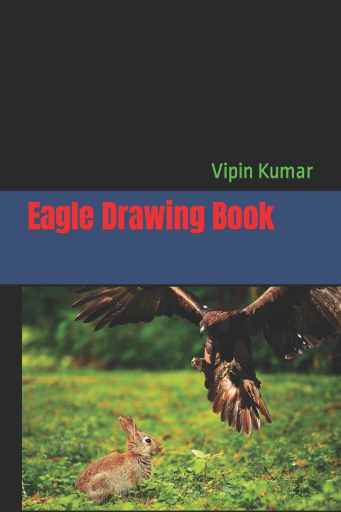 Knjiga Eagle Drawing Book Vipin Kumar
