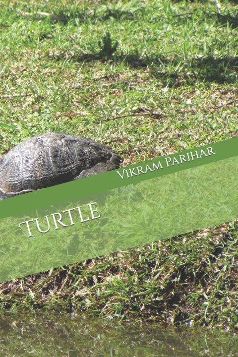 Knjiga Turtle Vikram Parihar