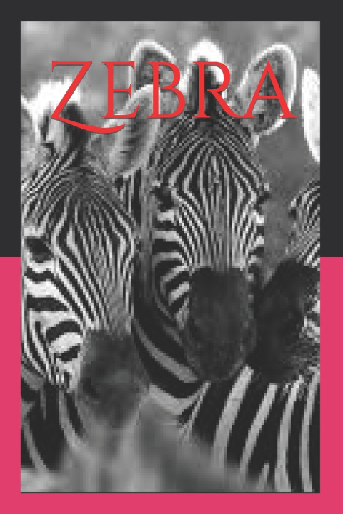 Knjiga Zebra Vikram Parihar