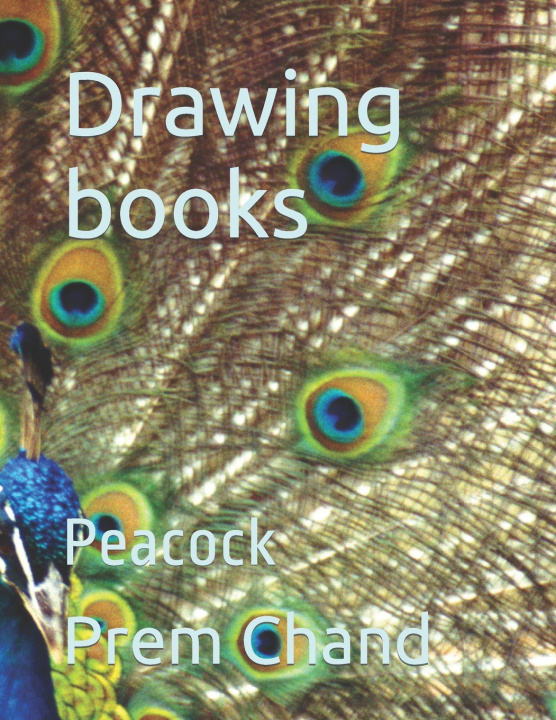Kniha Drawing books Prem Chand