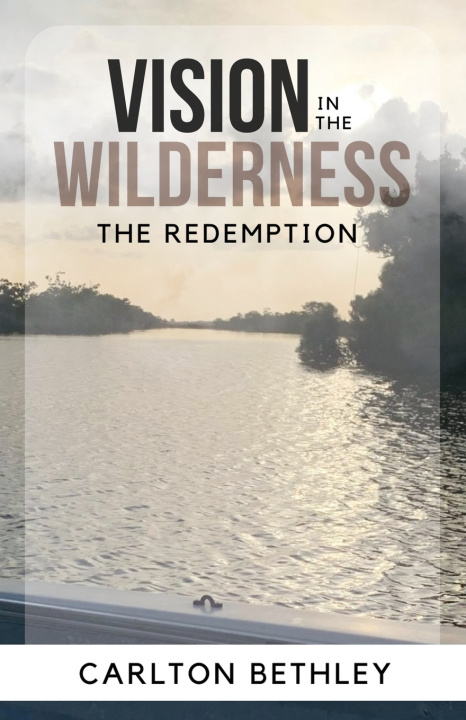 Buch Vision In The Wilderness Carlton Bethley