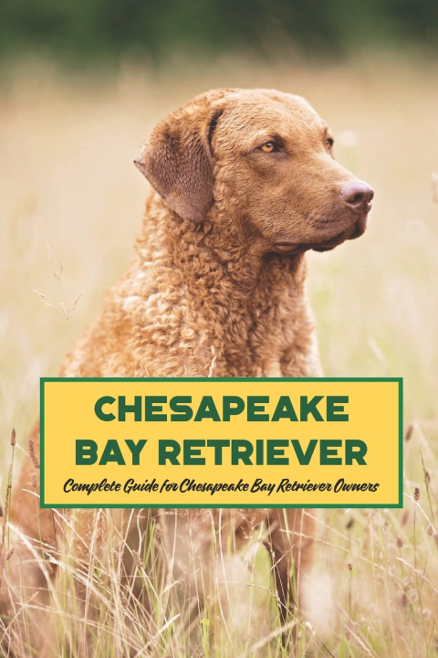 Βιβλίο Chesapeake Bay Retriever Gosnell Mollie