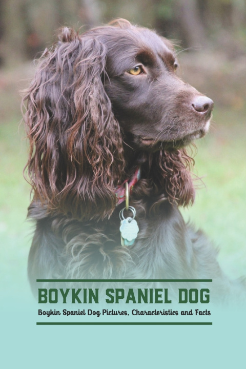 Book Boykin Spaniel Dog Gosnell Mollie