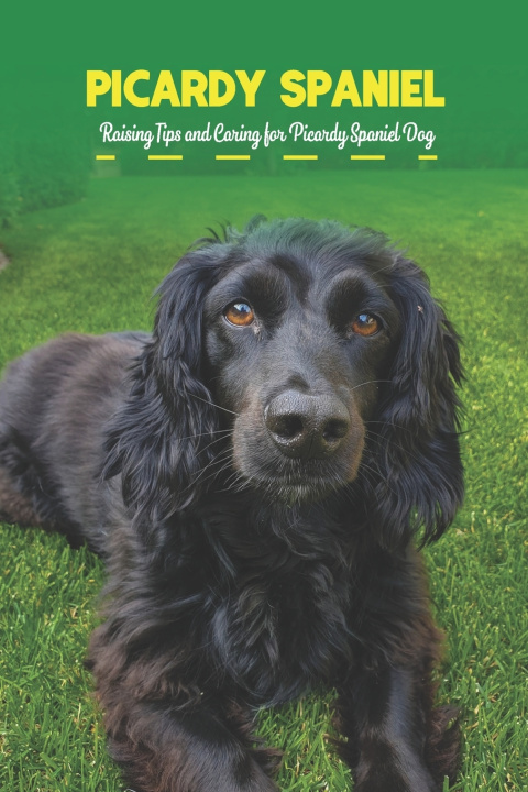 Knjiga Picardy Spaniel Gosnell Mollie