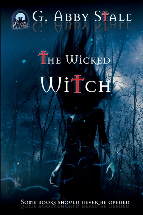 Buch Wicked Witch G Abby Stale