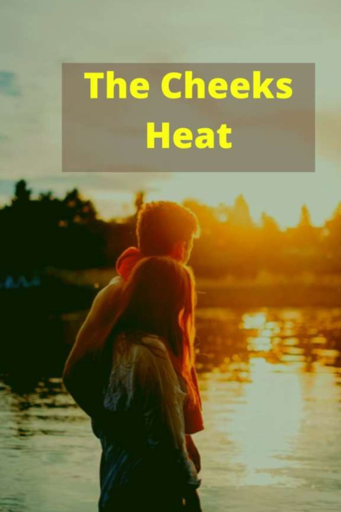 Knjiga Cheeks Heat Zeeshan Ali