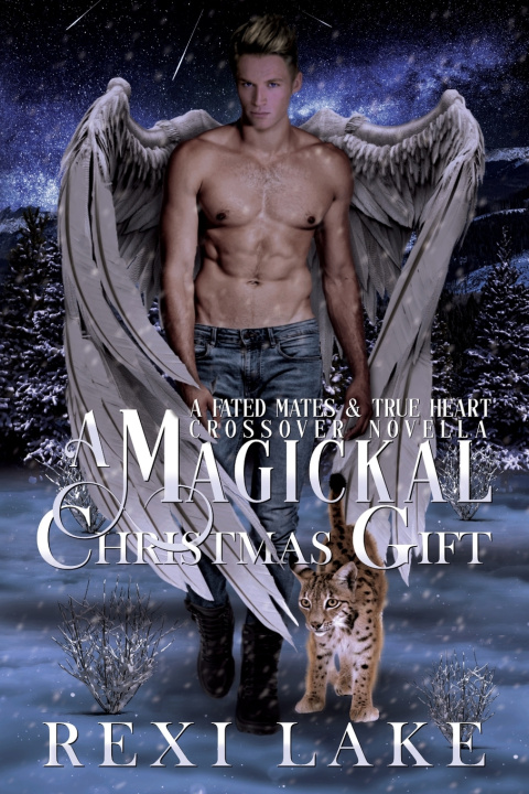 Buch Magickal Christmas Gift Rexi Lake