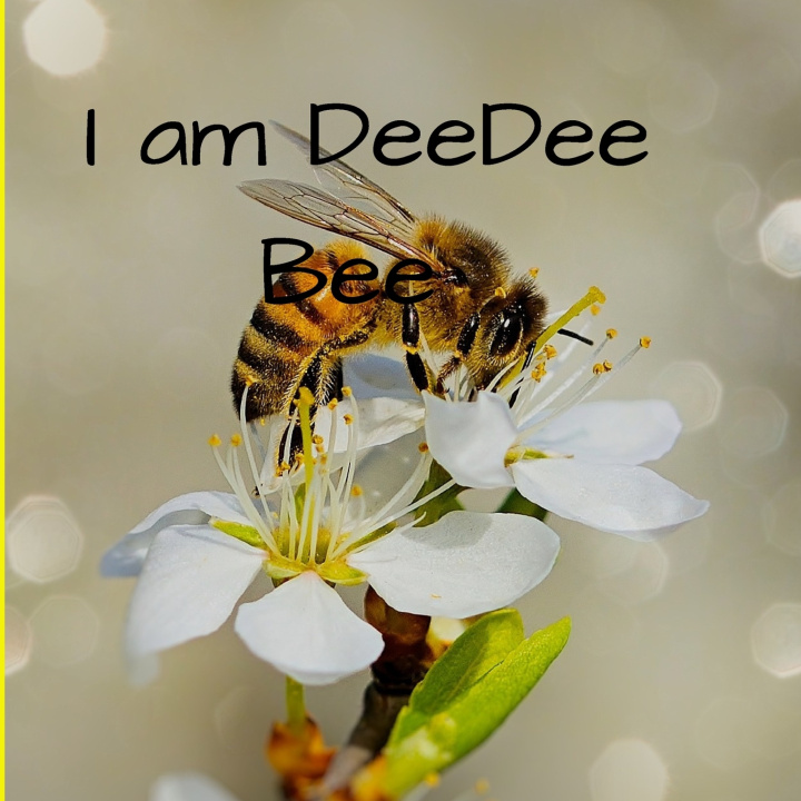 Knjiga I am DeeDee Bee Keri LeWarne