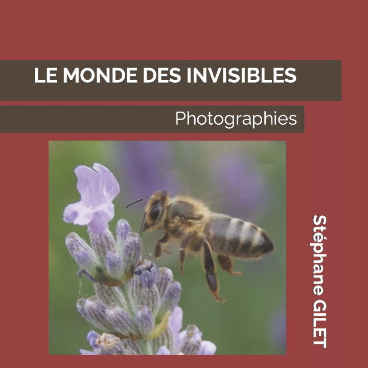 Buch Monde Des Invisibles Stephane Gilet
