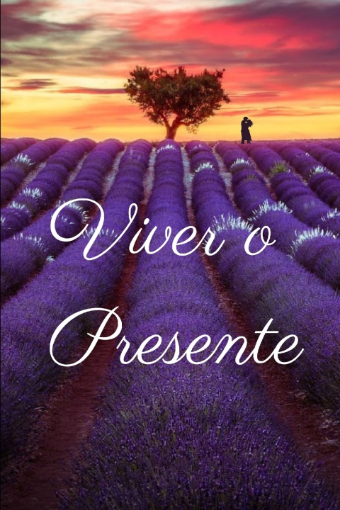 Knjiga Viver o Presente Iara Raquel Chaves Jose